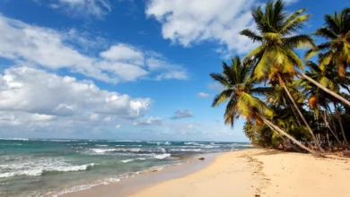 Praia com coqueiros à beira-mar e águas claras, representando uma das praias mais famosas de Recife.