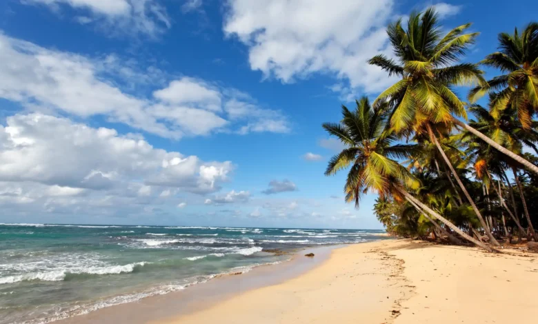 Praia com coqueiros à beira-mar e águas claras, representando uma das praias mais famosas de Recife.