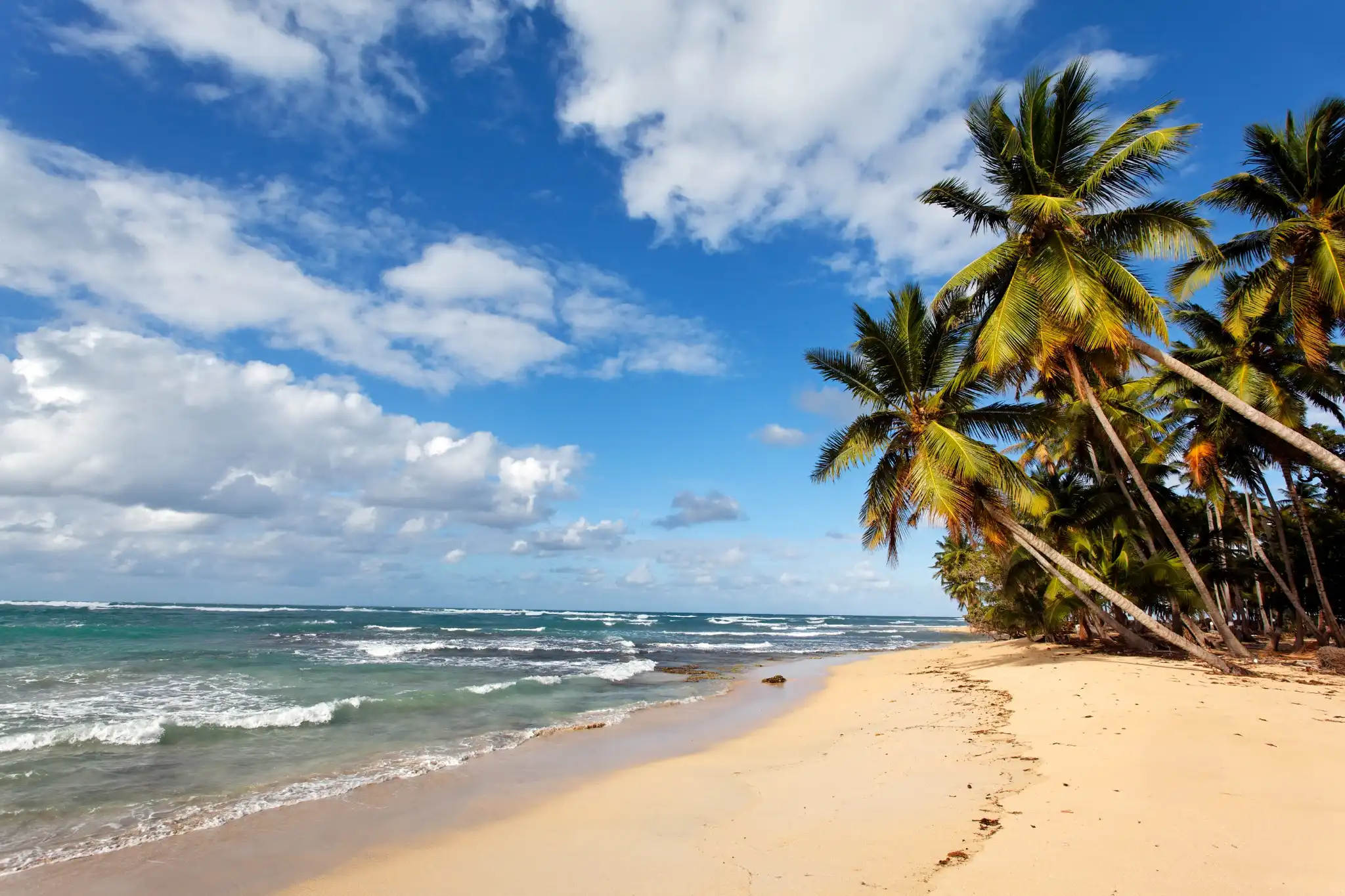 Praia com coqueiros à beira-mar e águas claras, representando uma das praias mais famosas de Recife.