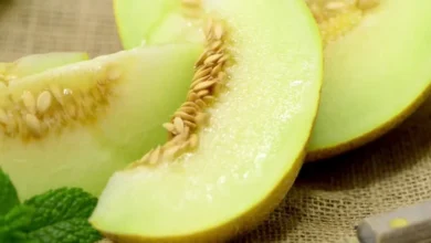 Sementes de melão em pedaços da fruta fresca