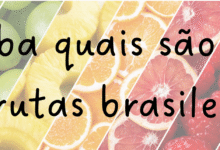 Três frutas brasileiras conquistam posição de destaque no ranking mundial.
