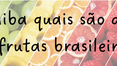 Três frutas brasileiras conquistam posição de destaque no ranking mundial.