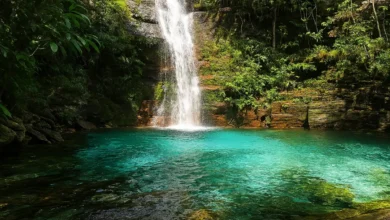 Imagem de uma cachoeira de águas cristalinas em meio à vegetação exuberante da Bahia, com uma queda d'água impressionante.