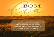 Amanhecer dourado com mensagem inspiradora de bom dia para renovar forças e seguir em frente