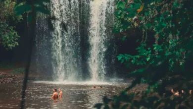 Pessoas se banhando na base de uma cachoeira rodeada por vegetação em uma área próxima a Salvador