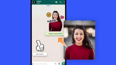 Conversa no WhatsApp exibindo figurinha personalizada criada a partir de foto recebida