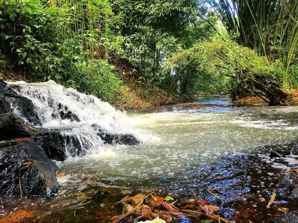 Cachoeira no Parque São Bartolomeu em Salvador, com água caindo sobre pedras, cercada por vegetação exuberante