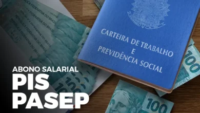 Carteira de Trabalho com dinheiro - Abono Salarial PIS/PASEP