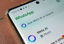WhatsApp com assistente Meta AI destacando a opção de busca com o Círculo Azul