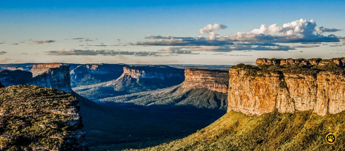 Paisagem da Chapada Diamantina com paredões rochosos e vales cobertos de vegetação ao entardecer.