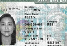 Foto de um Green Card americano com informações pessoais fictícias, ilustrando documento necessário para atualização de nome no INSS.