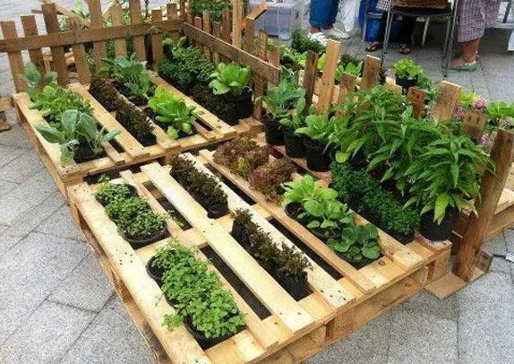 Horta organizada com paletes de madeira, exibindo várias plantas em vasos