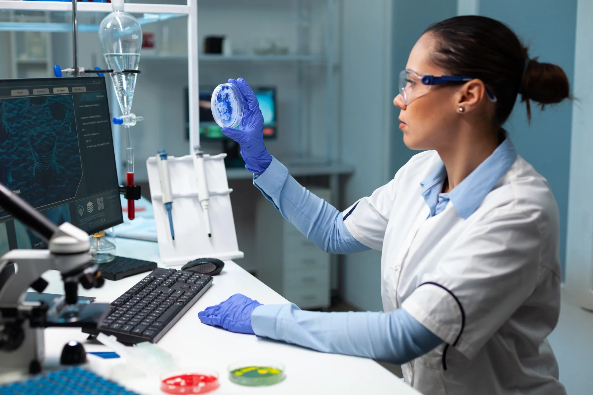Pesquisadora analisando uma placa de Petri com solução azul, em laboratório, como parte de estudo sobre fórmula para retardar o envelhecimento celular.