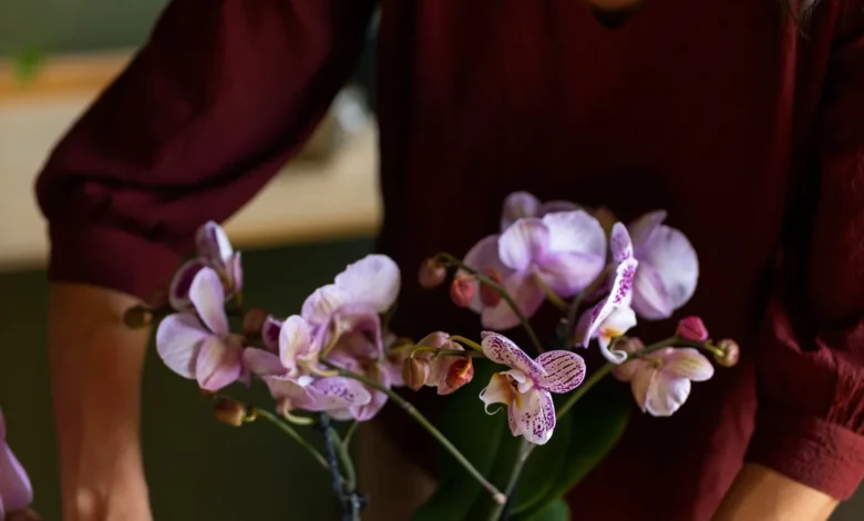Pessoa sorrindo enquanto cuida de uma orquÃdea lilás em um ambiente interno
