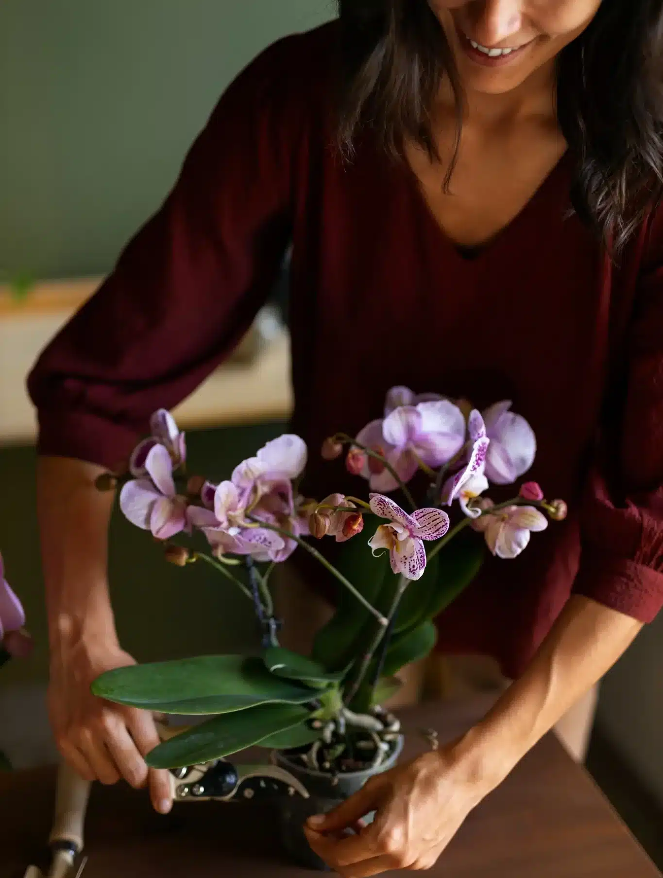 Pessoa sorrindo enquanto cuida de uma orquídea lilás em um ambiente interno