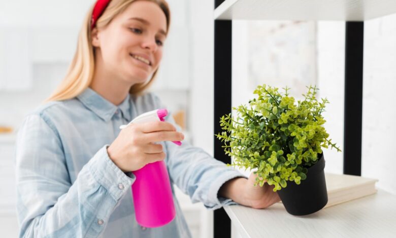 Mulher regando planta com um pulverizador rosa em casa, com plantas verdes em um vaso preto.