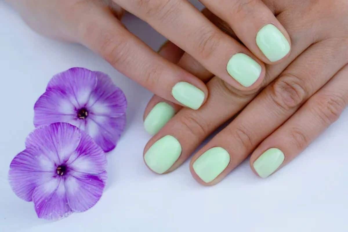 Unhas curtas pintadas de verde leitoso ao lado de flores roxas