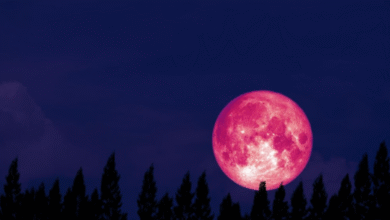 Imagem da Lua de Morango, fenômeno raro que ocorre em junho, destacando seu tom avermelhado no céu noturno.