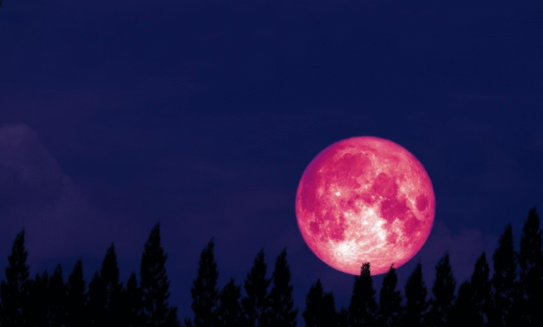 Imagem da Lua de Morango, fenômeno raro que ocorre em junho, destacando seu tom avermelhado no céu noturno.