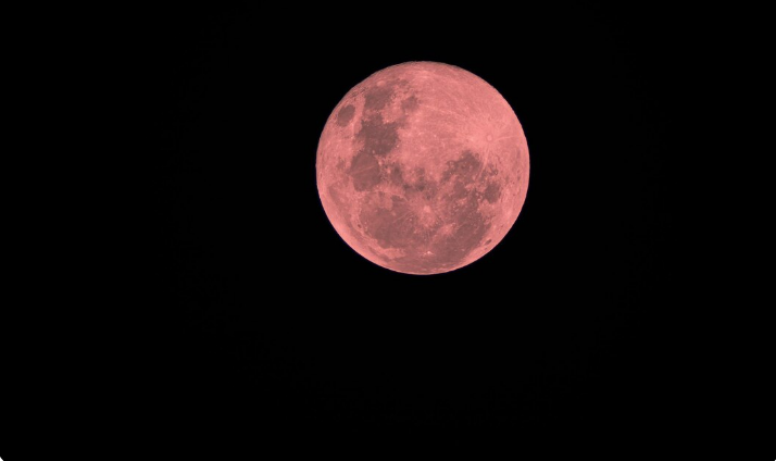 Imagem da Lua de Morango, com seu tom rosado, visível na noite de 10 de junho de 2025.