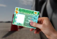 carteira nacional de habilitação sendo segurada por uma pessoa.