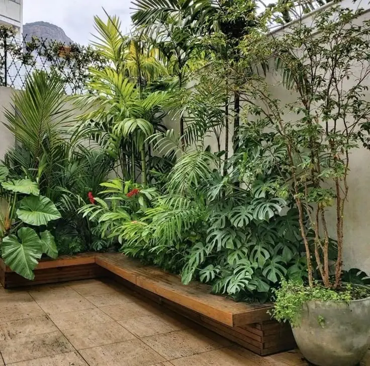 Jardim tropical com folhagens exuberantes e costela de Adão em destaque