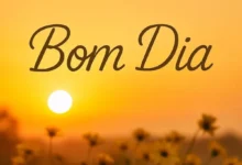 Imagem de um lindo amanhecer com flores e o texto 'Bom Dia' em destaque.