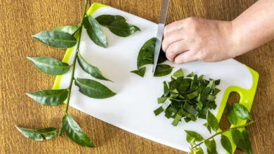 Folhas de Ora-pro-nóbis sendo picadas em uma tábua de corte. A planta é rica em ferro e pode ser benéfica para quem sofre de anemia.