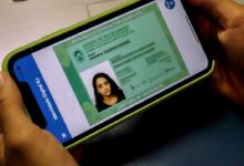 Pessoa acessando a nova carteira de identidade digital pelo celular