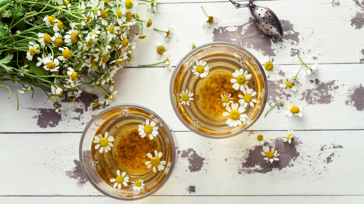 Chá natural para insônia: aprenda a receita para dormir melhor - Idosos
