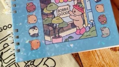 Imagem ilustrativa mostrando um erro comum ao pintar Bobbie Goods, com foco nas cores e detalhes não percebidos.
