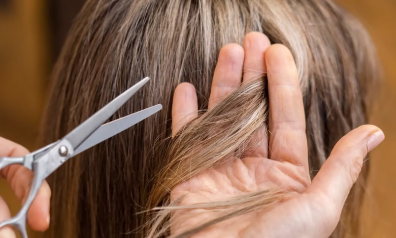 Corte de cabelo sendo feito em mulher com fios longos por profissional de beleza.Corte de cabelo sendo feito em mulher com fios longos por profissional de beleza.