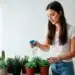 Mulher regando suculentas em vaso, cuidando das plantas em ambiente interno.
