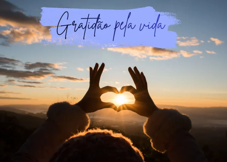 Imagem de mãos formando coração com o pôr do sol ao fundo, acompanhada da frase 'Gratidão pela vida'.