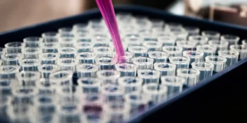 Pipeta rosa adicionando líquido em tubos de ensaio transparentes para análise laboratorial